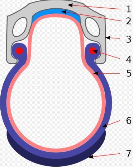 Rim interact with tubed tire is a good knowledge of electric bike tire