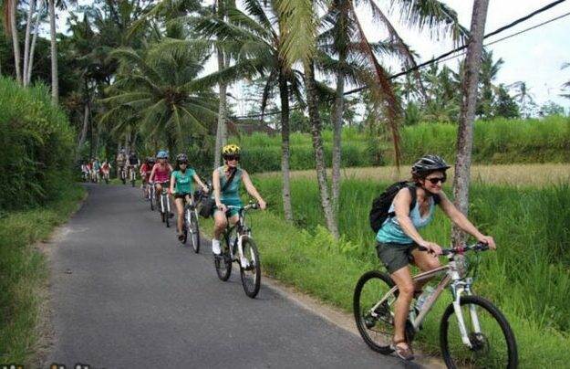 Bali Neighborhood Cycling as the featured image for BIG CAT Beach Cruiser - The Best Affordable Premium E-Bike post.