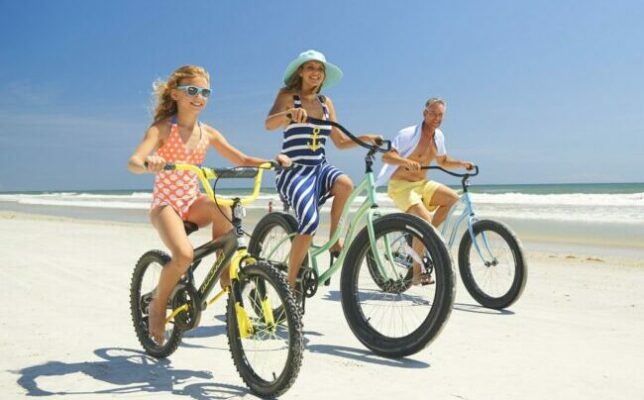 veego-fat-tire-the-best-affordable-all-terrain-e-bike