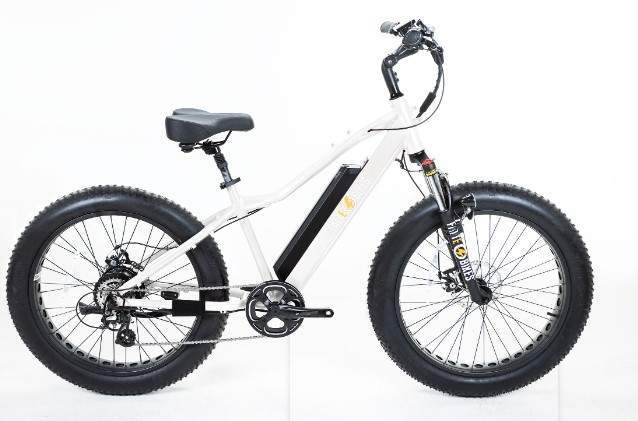 SGT MINGO - The Best Affordable E-bikes built in the USA.