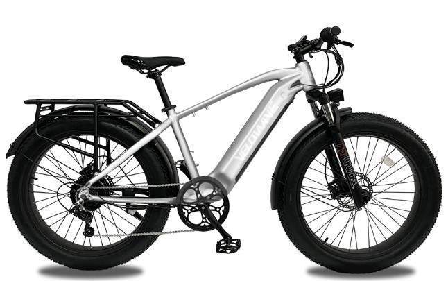 VELOWAVE RANGER - The Best Affordable e-bike for adult gifts.