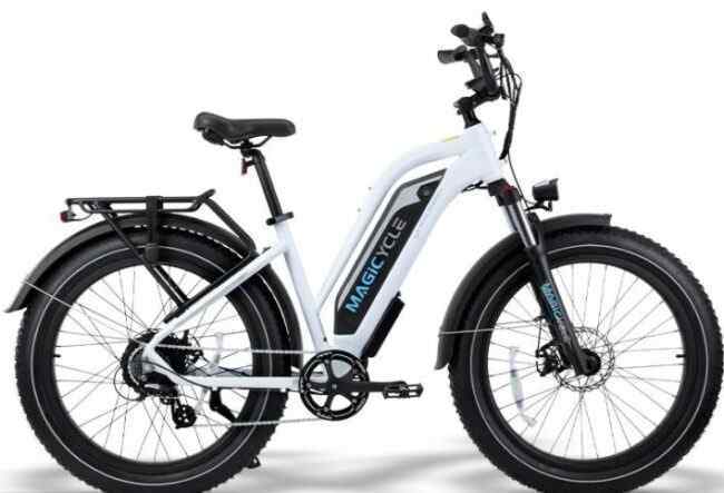 CRUISER Step-Thru E-bike is a valuable e-bike to buy.