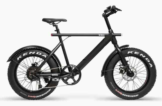 FREEDOM FATTY 2 - The best off-road e-bike for adults.