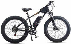 VIRIBUS Chubby Fat Tire E-bike | Best Affordable E-bikes