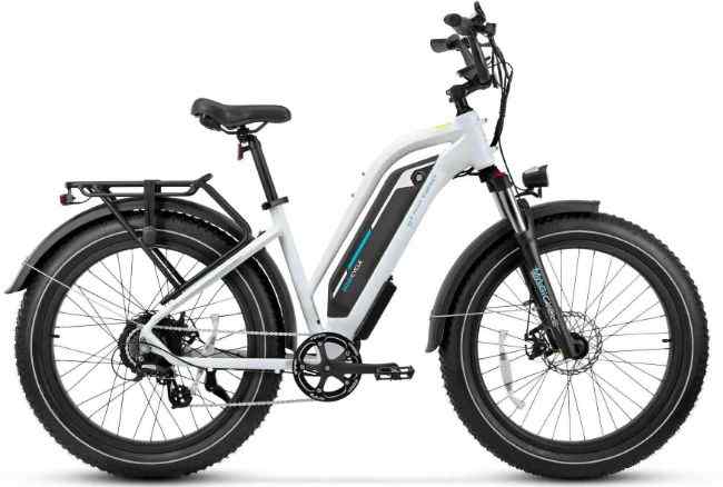 MAGICYCLE 52V 15Ah Cruiser All Terrain Electric bikes