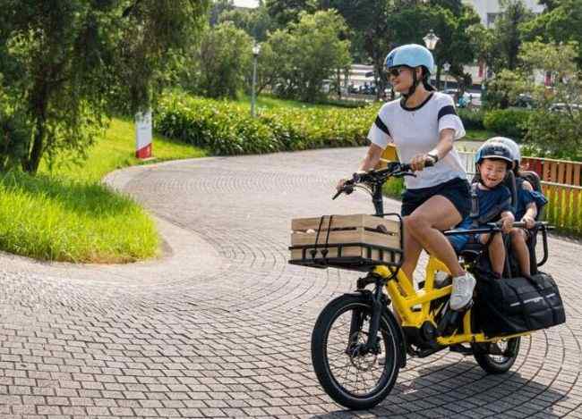 TERN GSD S10 Long Tail electric cargo bike - It features a large cargo deck that can accommodate 400 Ibs of cargo.