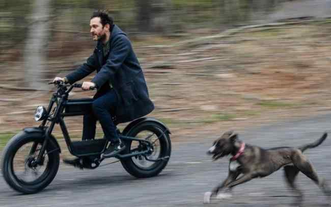 REVV 1 moped e-bike racing with the running dog effortless due to its powerful 750W motor with 95 Nm torque.